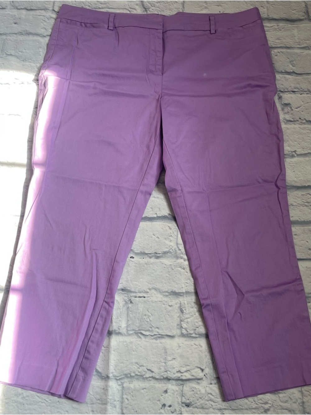 New York & Company Cropped Pants